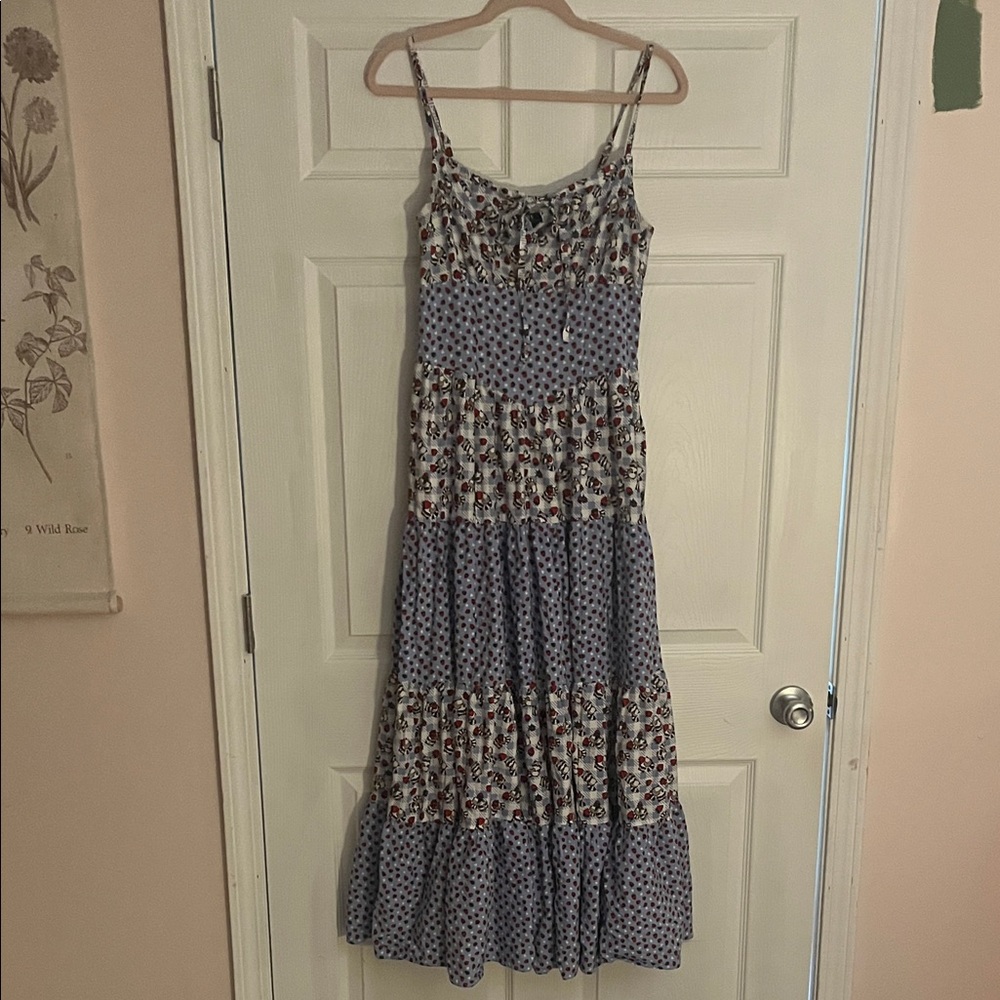 Hot Topic Raccoons and Strawberries Floral Blue Maxi Dress